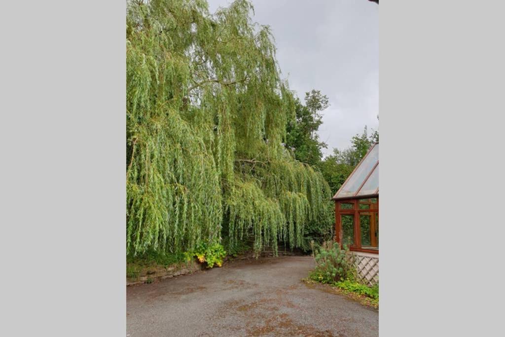 Willow Lodge アバーガベニー エクステリア 写真